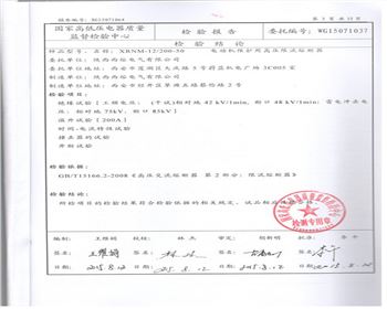 檢驗(yàn)結(jié)論報告